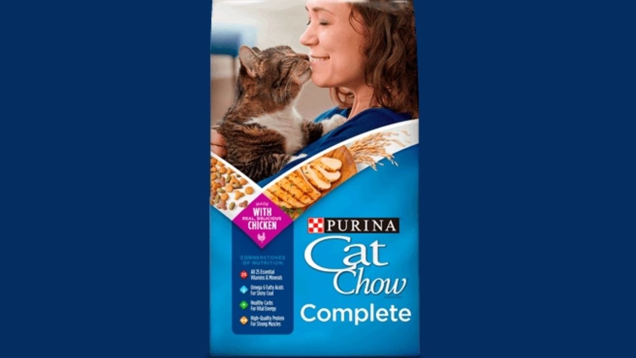 How to Receive Purina Cat Food Samples at Home