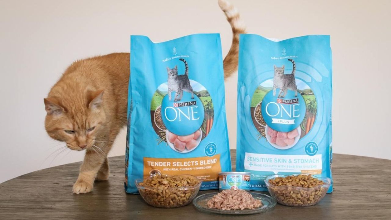 How to Receive Purina Cat Food Samples at Home
